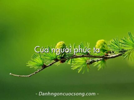Của người phúc ta
