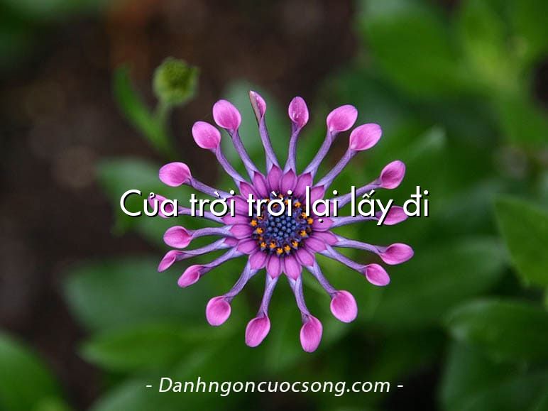 Của trời trời lại lấy đi