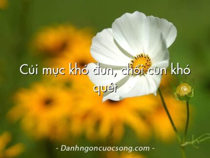 Củi mục khó đun, chổi cùn khó quét