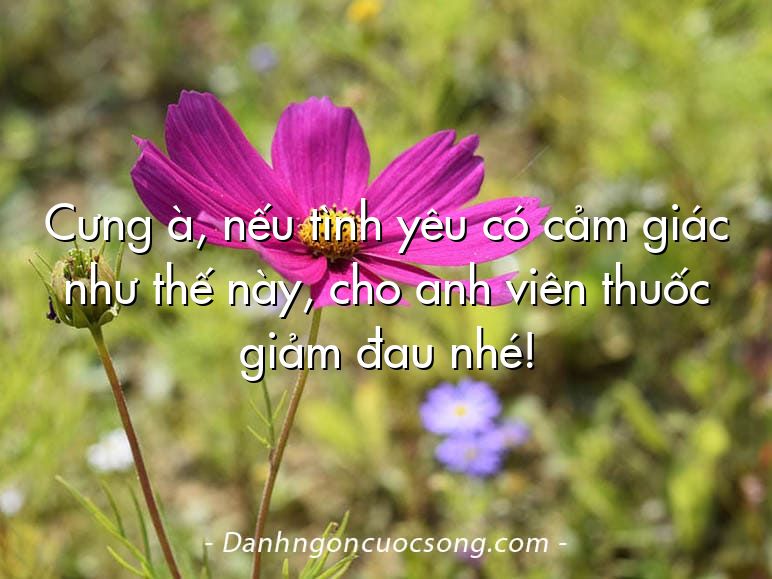 Cưng à, nếu tình yêu có cảm giác như thế này, cho anh viên thuốc giảm đau nhé!