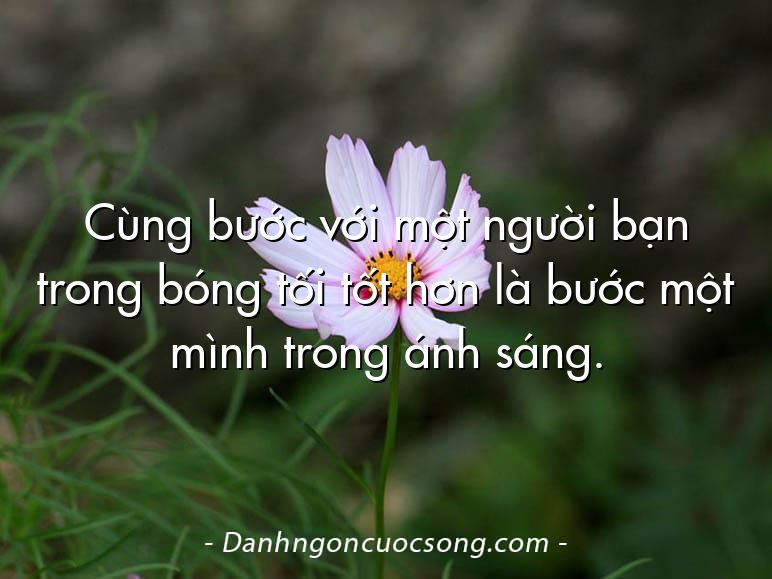 Cùng bước với một người bạn trong bóng tối tốt hơn là bước một mình trong ánh sáng.