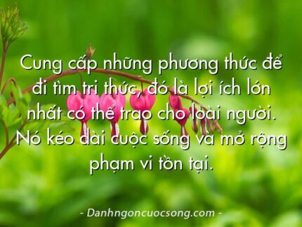 Cung cấp những phương thức để đi tìm tri thức, đó là lợi ích lớn nhất có thể trao cho loài người. Nó kéo dài cuộc sống và mở rộng phạm vi tồn tại.