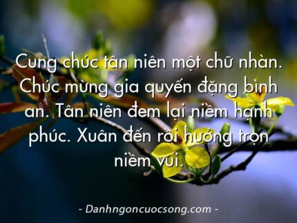 Cung chúc tân niên một chữ nhàn. Chúc mừng gia quyến đặng bình an. Tân niên đem lại niềm hạnh phúc. Xuân đến rồi hưởng trọn niềm vui.