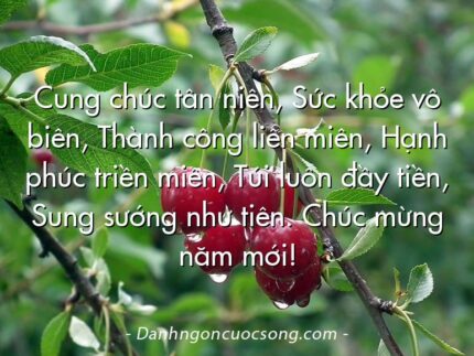Cung chúc tân niên, Sức khỏe vô biên, Thành công liên miên, Hạnh phúc triền miên, Túi luôn đầy tiền, Sung sướng như tiên. Chúc mừng năm mới!