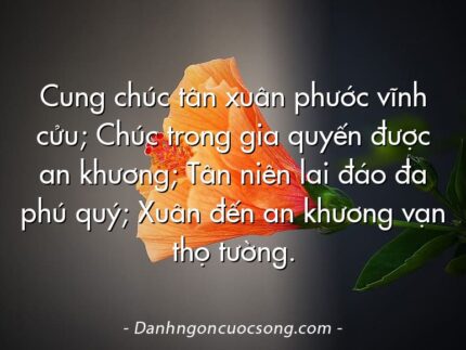 Cung chúc tân xuân phước vĩnh cửu; Chúc trong gia quyến được an khương; Tân niên lai đáo đa phú quý; Xuân đến an khương vạn thọ tường.