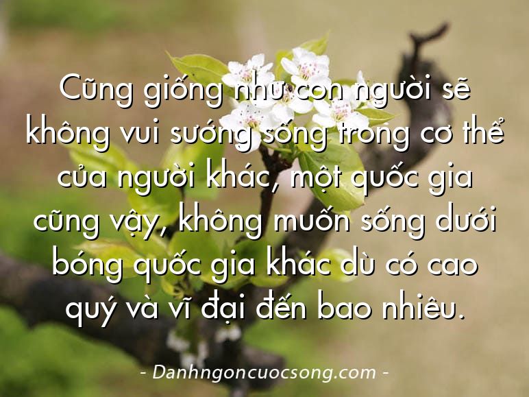 Cũng giống như con người sẽ không vui sướng sống trong cơ thể của người khác, một quốc gia cũng vậy, không muốn sống dưới bóng quốc gia khác dù có cao quý và vĩ đại đến bao nhiêu.