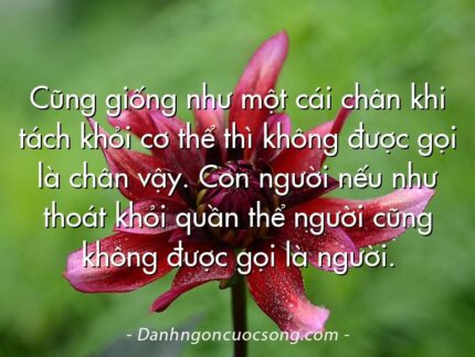 Cũng giống như một cái chân khi tách khỏi cơ thể thì không được gọi là chân vậy. Con người nếu như thoát khỏi quần thể người cũng không được gọi là người.