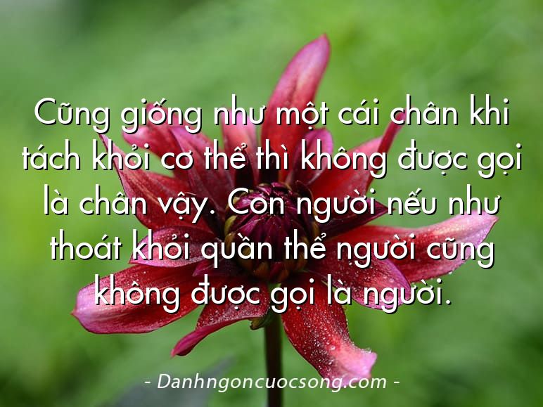 Cũng giống như một cái chân khi tách khỏi cơ thể thì không được gọi là chân vậy. Con người nếu như thoát khỏi quần thể người cũng không được gọi là người.