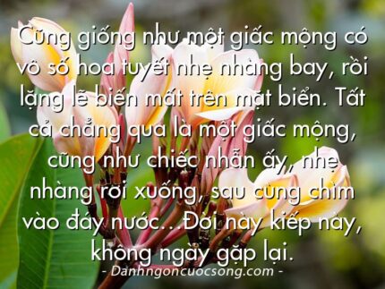 Cũng giống như một giấc mộng có vô số hoa tuyết nhẹ nhàng bay, rồi lặng lẽ biến mất trên mặt biển. Tất cả chẳng qua là một giấc mộng, cũng như chiếc nhẫn ấy, nhẹ nhàng rơi xuống, sau cùng chìm vào đáy nước…Đời này kiếp này, không ngày gặp lại.