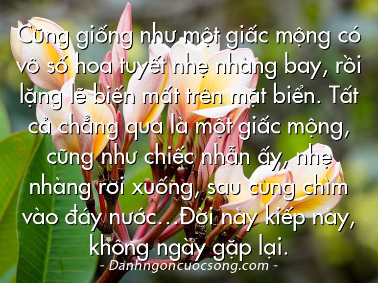 Cũng giống như một giấc mộng có vô số hoa tuyết nhẹ nhàng bay, rồi lặng lẽ biến mất trên mặt biển. Tất cả chẳng qua là một giấc mộng, cũng như chiếc nhẫn ấy, nhẹ nhàng rơi xuống, sau cùng chìm vào đáy nước…Đời này kiếp này, không ngày gặp lại.