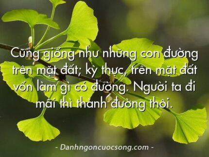 Cũng giống như những con đường trên mặt đất; kỳ thực, trên mặt đất vốn làm gì có đường. Người ta đi mãi thì thành đường thôi.