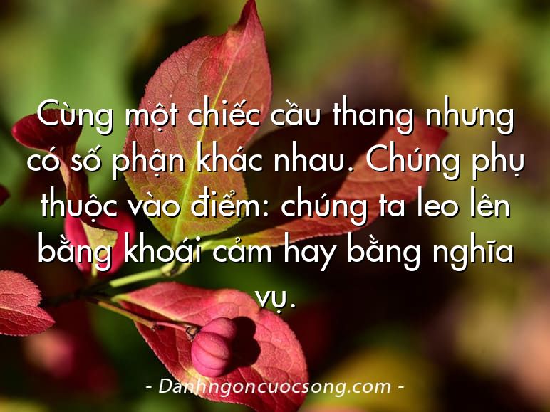 Cùng một chiếc cầu thang nhưng có số phận khác nhau. Chúng phụ thuộc vào điểm: chúng ta leo lên bằng khoái cảm hay bằng nghĩa vụ.