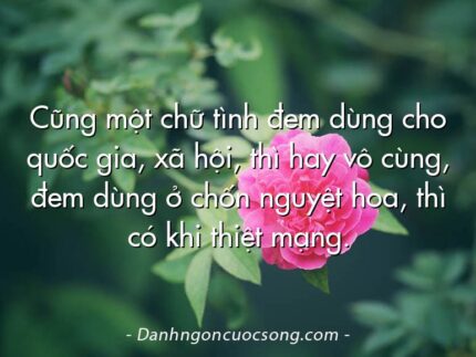 Cũng một chữ tình đem dùng cho quốc gia, xã hội, thì hay vô cùng, đem dùng ở chốn nguyệt hoa, thì có khi thiệt mạng.