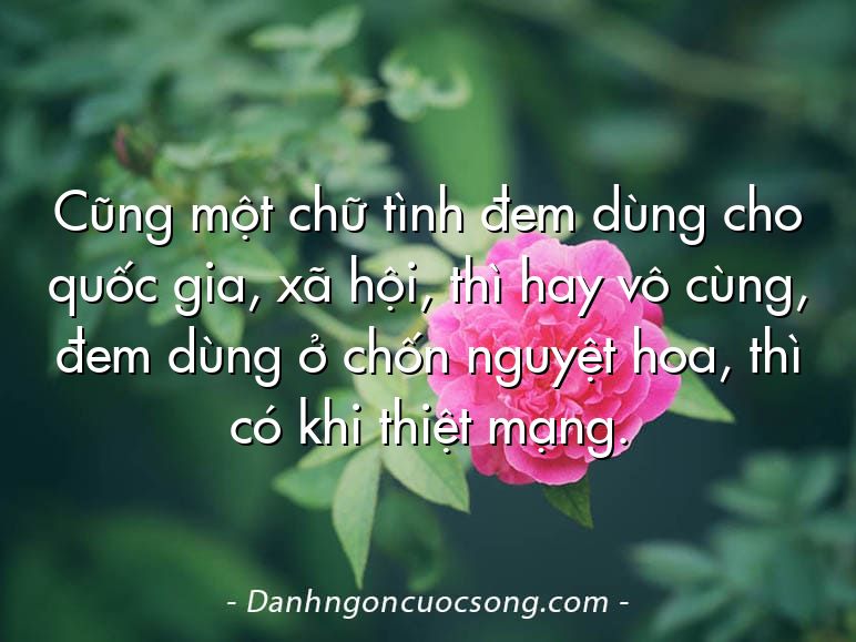 Cũng một chữ tình đem dùng cho quốc gia, xã hội, thì hay vô cùng, đem dùng ở chốn nguyệt hoa, thì có khi thiệt mạng.