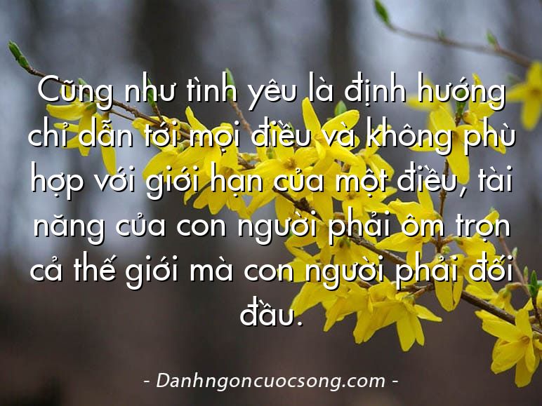 Cũng như tình yêu là định hướng chỉ dẫn tới mọi điều và không phù hợp với giới hạn của một điều, tài năng của con người phải ôm trọn cả thế giới mà con người phải đối đầu.