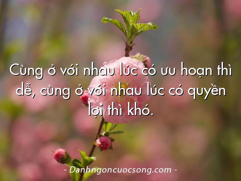 Cùng ở với nhau lúc có ưu hoạn thì dễ, cùng ở với nhau lúc có quyền lợi thì khó.