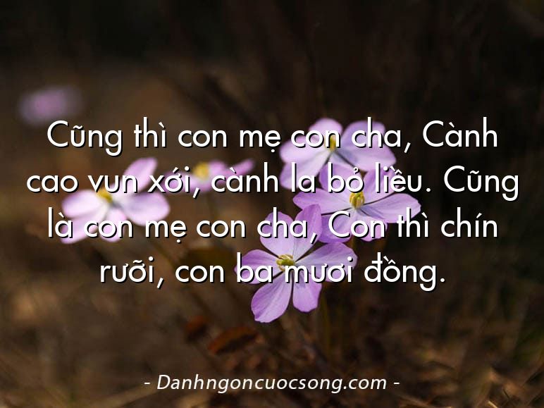Cũng thì con mẹ con cha, Cành cao vun xới, cành la bỏ liều. Cũng là con mẹ con cha, Con thì chín rưỡi, con ba mươi đồng.