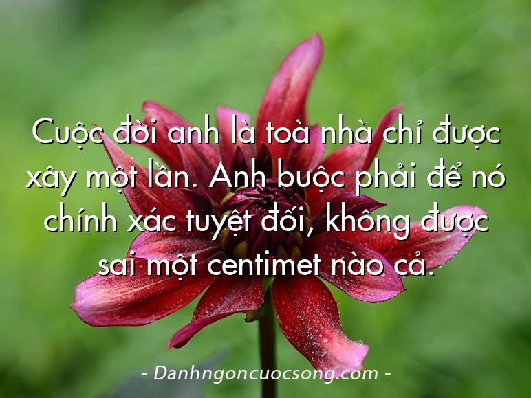 Cuộc đời anh là toà nhà chỉ được xây một lần. Anh buộc phải để nó chính xác tuyệt đối, không được sai một centimet nào cả.