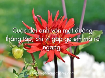 Cuộc đời anh vốn một đường thẳng tắp, chỉ vì gặp gỡ em mà rẽ ngang.