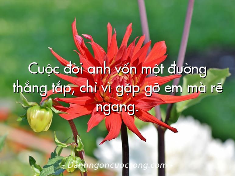 Cuộc đời anh vốn một đường thẳng tắp, chỉ vì gặp gỡ em mà rẽ ngang.