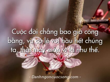 Cuộc đời chẳng bao giờ công bằng, và có lẽ với hầu hết chúng ta, thật may mắn vì là như thế.