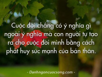 Cuộc đời chẳng có ý nghĩa gì ngoài ý nghĩa mà con người tự tạo ra cho cuộc đời mình bằng cách phát huy sức mạnh của bản thân.