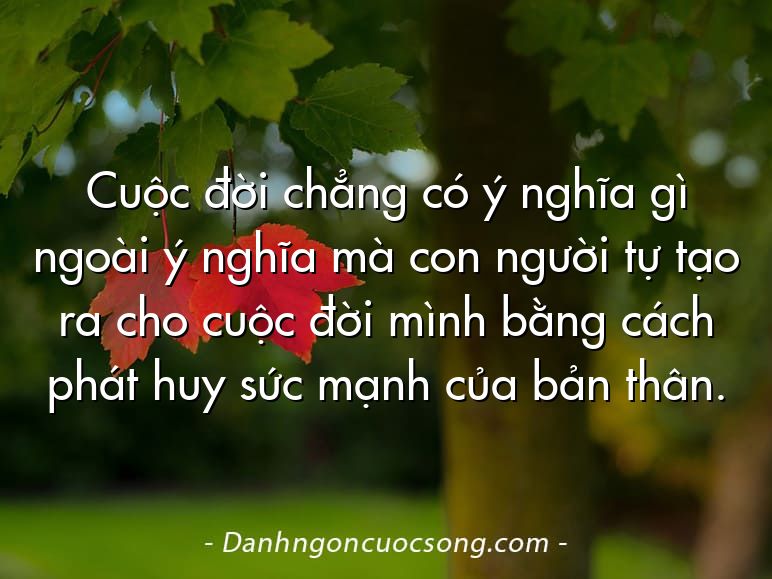 Cuộc đời chẳng có ý nghĩa gì ngoài ý nghĩa mà con người tự tạo ra cho cuộc đời mình bằng cách phát huy sức mạnh của bản thân.