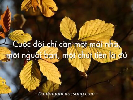 Cuộc đời chỉ cần một mái nhà, một người bạn, một chút tiền là đủ