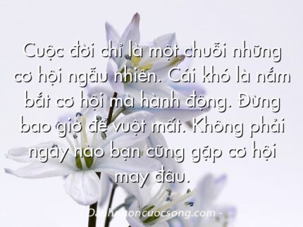 Cuộc đời chỉ là một chuỗi những cơ hội ngẫu nhiên. Cái khó là nắm bắt cơ hội mà hành động. Đừng bao giờ để vuột mất. Không phải ngày nào bạn cũng gặp cơ hội may đâu.  