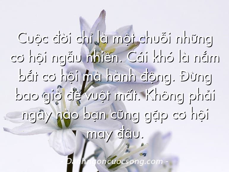 Cuộc đời chỉ là một chuỗi những cơ hội ngẫu nhiên. Cái khó là nắm bắt cơ hội mà hành động. Đừng bao giờ để vuột mất. Không phải ngày nào bạn cũng gặp cơ hội may đâu.  