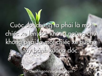 Cuộc đời chúng ta phải là một chiếc xe lên dốc không ngừng chứ không phải là một chiếc xe buông tay bánh xuống dốc.  