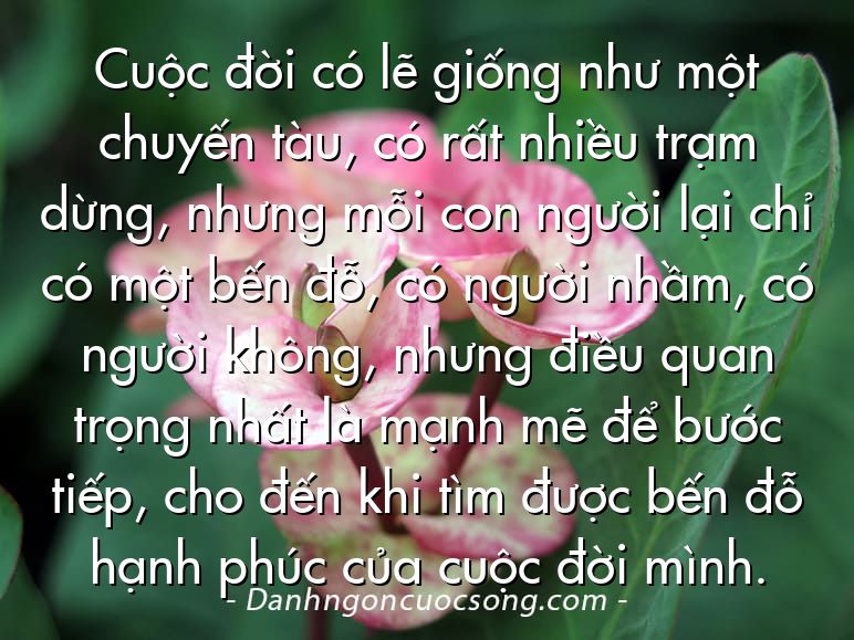 Cuộc đời có lẽ giống như một chuyến tàu, có rất nhiều trạm dừng, nhưng mỗi con người lại chỉ có một bến đỗ, có người nhầm, có người không, nhưng điều quan trọng nhất là mạnh mẽ để bước tiếp, cho đến khi tìm được bến đỗ hạnh phúc của cuộc đời mình.