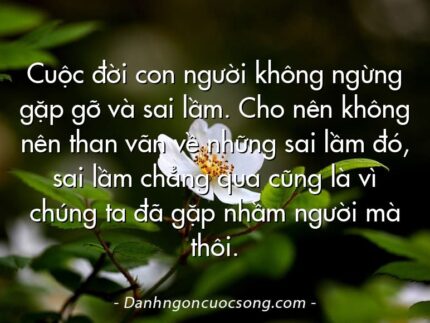Cuộc đời con người không ngừng gặp gỡ và sai lầm. Cho nên không nên than vãn về những sai lầm đó, sai lầm chẳng qua cũng là vì chúng ta đã gặp nhầm người mà thôi.