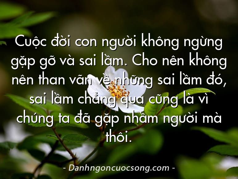 Cuộc đời con người không ngừng gặp gỡ và sai lầm. Cho nên không nên than vãn về những sai lầm đó, sai lầm chẳng qua cũng là vì chúng ta đã gặp nhầm người mà thôi.