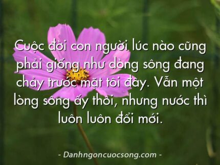 Cuộc đời con người lúc nào cũng phải giống như dòng sông đang chảy trước mặt tôi đây. Vẫn một lòng sông ấy thôi, nhưng nước thì luôn luôn đổi mới.  