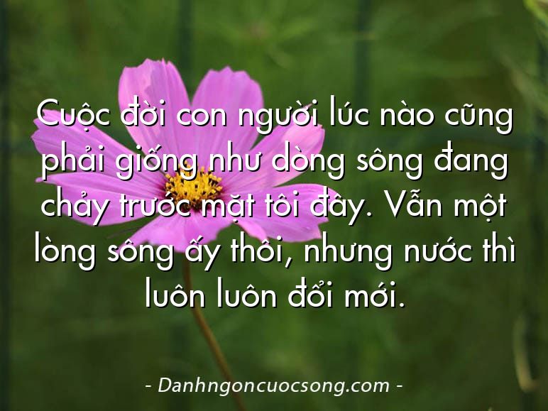 Cuộc đời con người lúc nào cũng phải giống như dòng sông đang chảy trước mặt tôi đây. Vẫn một lòng sông ấy thôi, nhưng nước thì luôn luôn đổi mới.  
