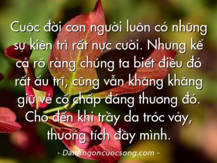 Cuộc đời con người luôn có những sự kiên trì rất nực cười. Nhưng kể cả rõ ràng chúng ta biết điều đó rất ấu trĩ, cũng vẫn khăng khăng giữ vẻ cố chấp đáng thương đó. Cho đến khi trầy da tróc vảy, thương tích đầy mình.