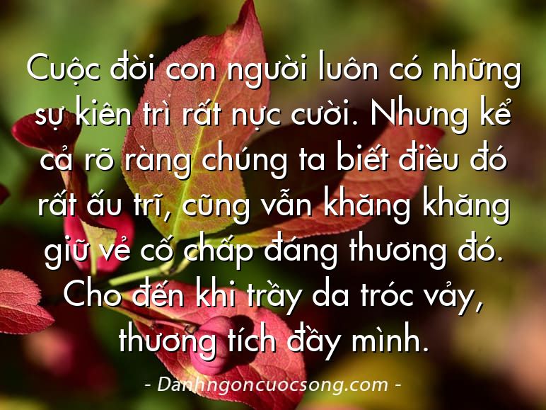 Cuộc đời con người luôn có những sự kiên trì rất nực cười. Nhưng kể cả rõ ràng chúng ta biết điều đó rất ấu trĩ, cũng vẫn khăng khăng giữ vẻ cố chấp đáng thương đó. Cho đến khi trầy da tróc vảy, thương tích đầy mình.