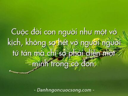 Cuộc đời con người như một vở kịch, không sợ hết vở người người tứ tán mà chỉ sợ phải diễn một mình trong cô đơn.