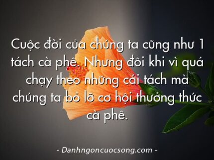 Cuộc đời của chúng ta cũng như 1 tách cà phê. Nhưng đôi khi vì quá chạy theo những cái tách mà chúng ta bỏ lỡ cơ hội thưởng thức cà phê.