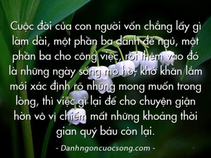 Cuộc đời của con người vốn chẳng lấy gì làm dài, một phần ba dành để ngủ, một phần ba cho công việc, rồi thêm vào đó là những ngày sống mơ hồ, khó khăn lắm mới xác định rõ những mong muốn trong lòng, thì việc gì lại để cho chuyện giận hờn vô vị chiếm mất những khoảng thời gian quý báu còn lại.