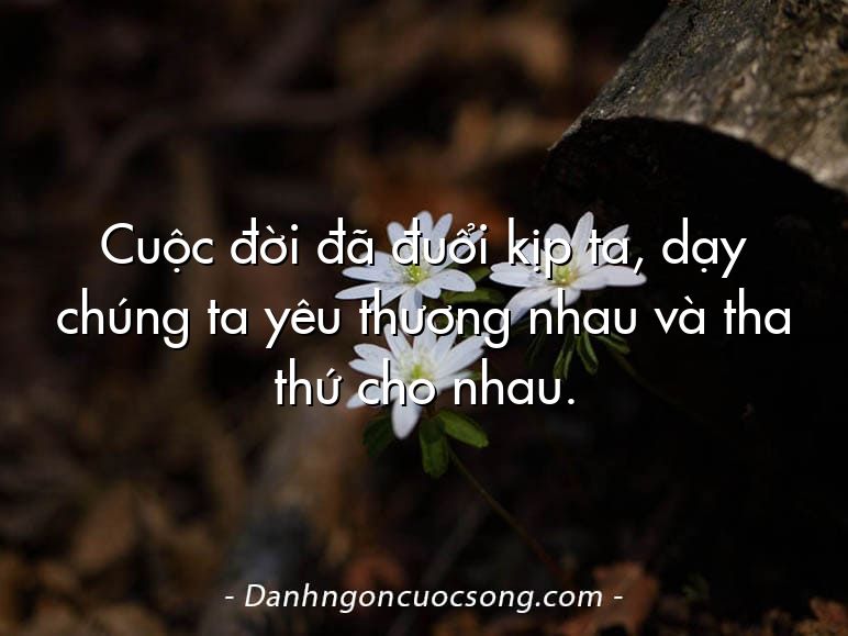 Cuộc đời đã đuổi kịp ta, dạy chúng ta yêu thương nhau và tha thứ cho nhau.