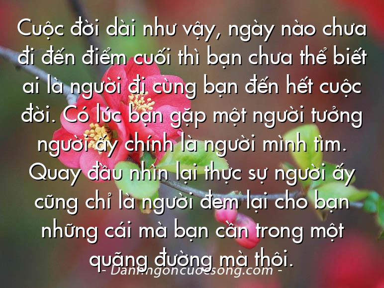 Cuộc đời dài như vậy, ngày nào chưa đi đến điểm cuối thì bạn chưa thể biết ai là người đi cùng bạn đến hết cuộc đời. Có lúc bạn gặp một người tưởng người ấy chính là người mình tìm. Quay đầu nhìn lại thực sự người ấy cũng chỉ là người đem lại cho bạn những cái mà bạn cần trong một quãng đường mà thôi.