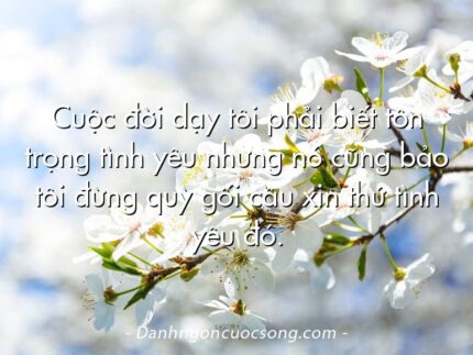 Cuộc đời dạy tôi phải biết tôn trọng tình yêu nhưng nó cũng bảo tôi đừng quỳ gối cầu xin thứ tình yêu đó.