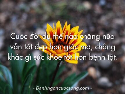 Cuộc đời dù thế nào chăng nữa vẫn tốt đẹp hơn giấc mơ, chẳng khác gì sức khỏe tốt hơn bệnh tật.   