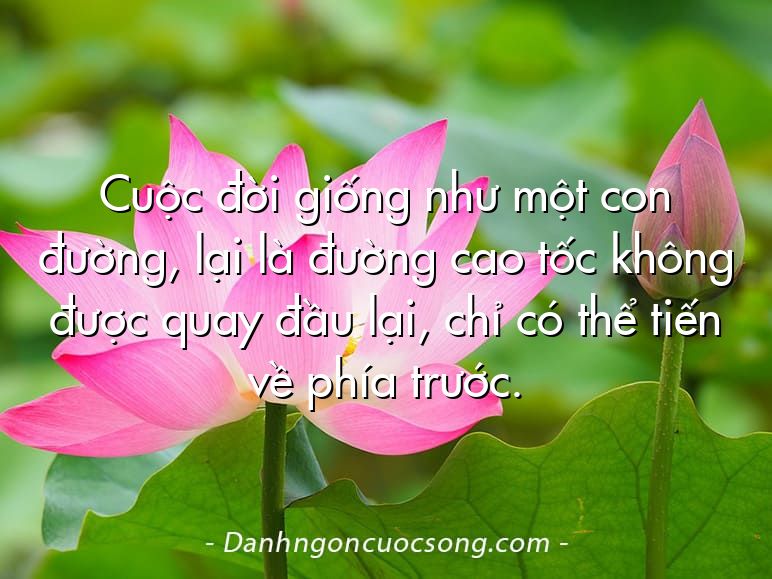 Cuộc đời giống như một con đường, lại là đường cao tốc không được quay đầu lại, chỉ có thể tiến về phía trước.