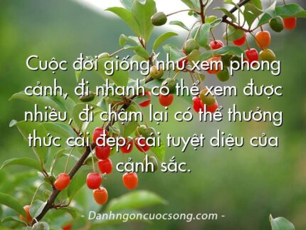 Cuộc đời giống như xem phong cảnh, đi nhanh có thể xem được nhiều, đi chậm lại có thể thưởng thức cái đẹp, cái tuyệt diệu của cảnh sắc.