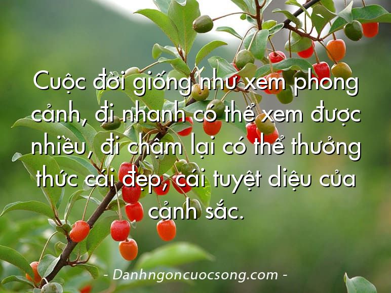 Cuộc đời giống như xem phong cảnh, đi nhanh có thể xem được nhiều, đi chậm lại có thể thưởng thức cái đẹp, cái tuyệt diệu của cảnh sắc.