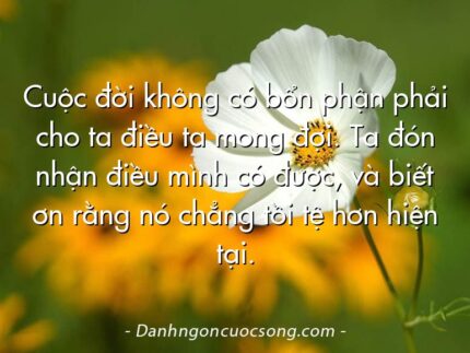 Cuộc đời không có bổn phận phải cho ta điều ta mong đợi. Ta đón nhận điều mình có được, và biết ơn rằng nó chẳng tồi tệ hơn hiện tại.