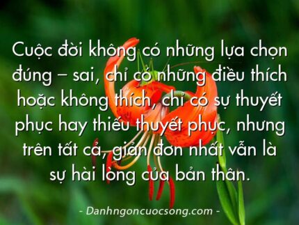 Cuộc đời không có những lựa chọn đúng – sai, chỉ có những điều thích hoặc không thích, chỉ có sự thuyết phục hay thiếu thuyết phục, nhưng trên tất cả, giản đơn nhất vẫn là sự hài lòng của bản thân.